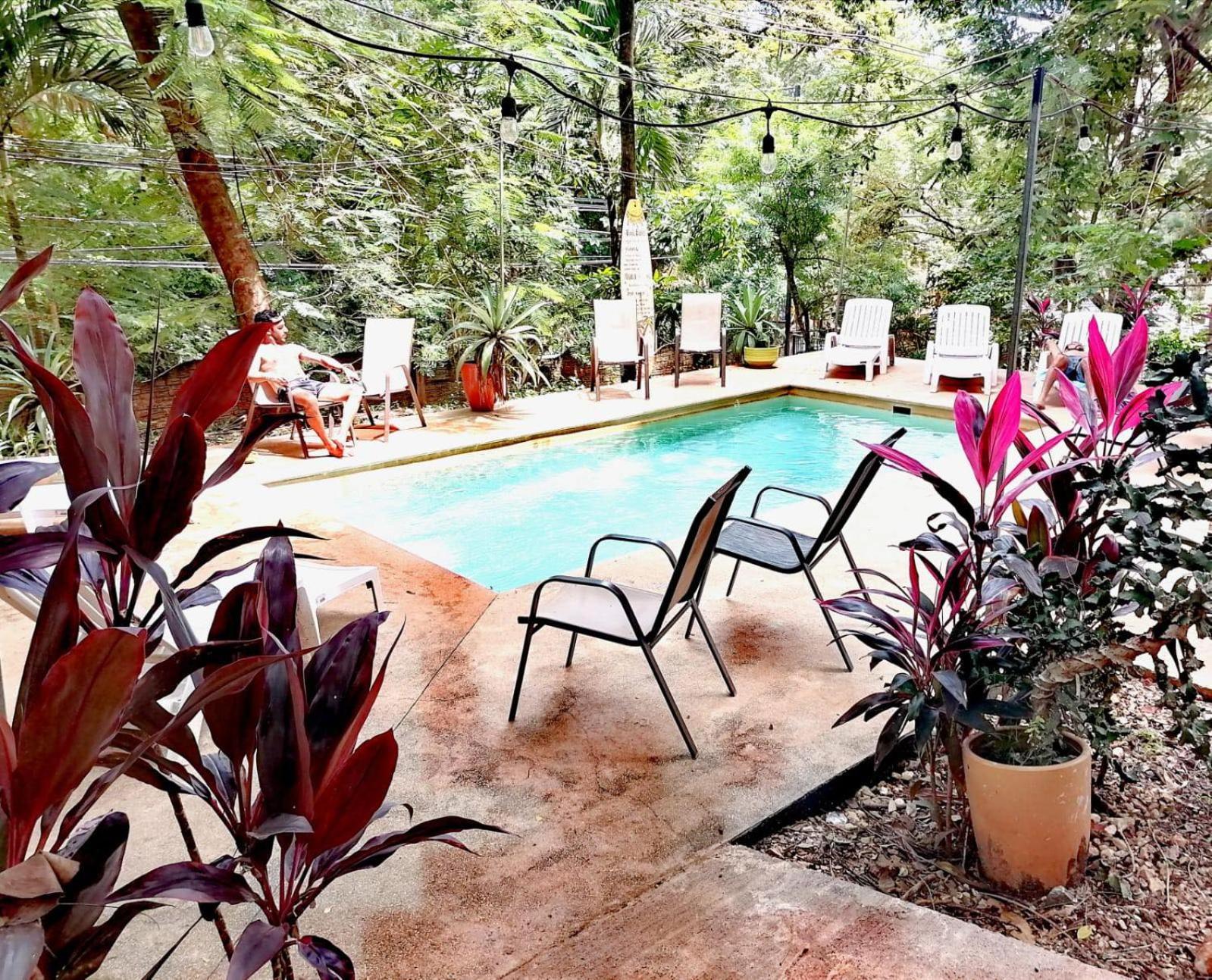 Casa Pura Vida Surf Hostel - Tamarindo Costa Rica Eksteriør bilde