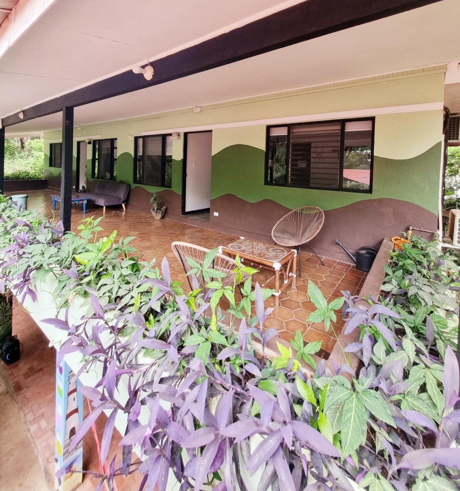 Casa Pura Vida Surf Hostel - Tamarindo Costa Rica Eksteriør bilde